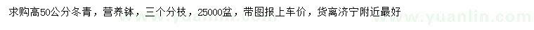 求購高50公分冬青