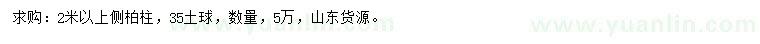 求購(gòu)2米以上側(cè)柏柱