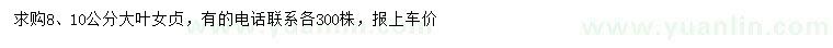 求購8、10公分大葉女貞