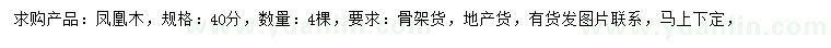 求購40公分鳳凰木
