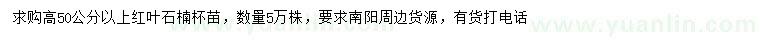 求購高50公分以上紅葉石楠