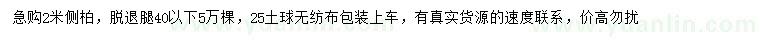 求購2米側(cè)柏
