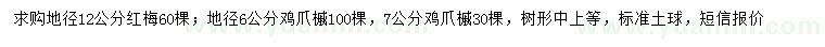 求購地徑12公分紅梅、地徑6、7公分雞爪槭