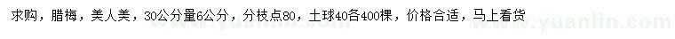 求購30量6公分臘梅、美人美