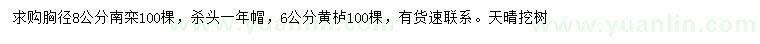 求購(gòu)胸徑8公分南欒、6公分黃櫨