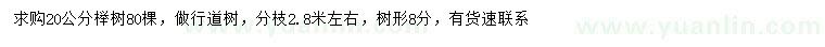 求購20公分櫸樹(shù)