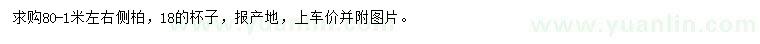 求購80-1米左右側(cè)柏