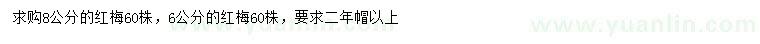 求購6、8公分紅梅