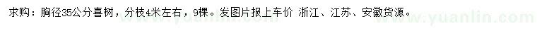 求購胸徑35公分喜樹