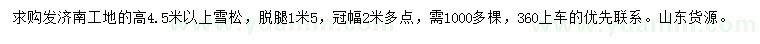 求購高4.5米以上雪松