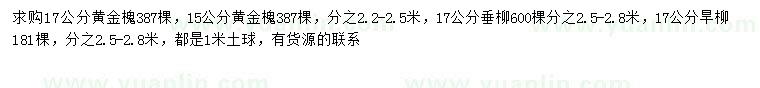 求購黃金槐、垂柳、旱柳