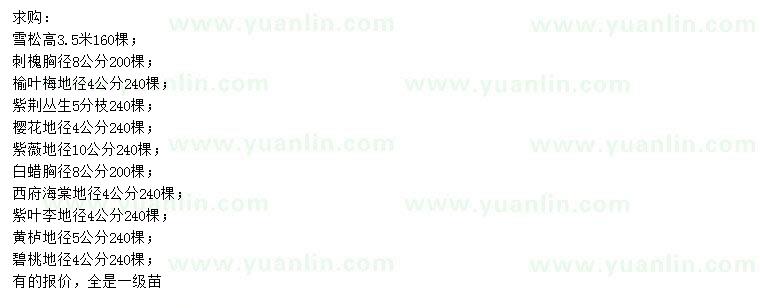 求購(gòu)雪松、刺槐、榆葉梅等