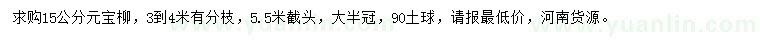 求購15公分元寶柳