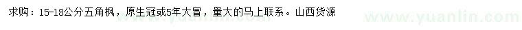 求購15-18公分五角楓