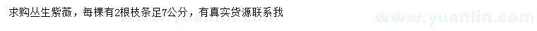 求購(gòu)7公分叢生紫薇