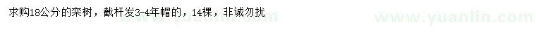 求購18公分欒樹