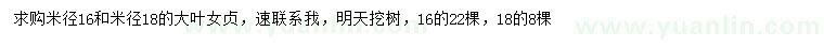 求購(gòu)米徑16、18公分大葉女貞