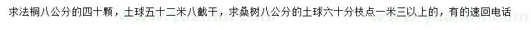 求購8公分法桐、桑樹