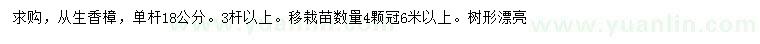 求購單桿18公分從生香樟