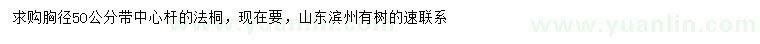 求購(gòu)胸徑50公分法桐