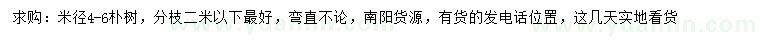 求購米徑4-6公分樸樹