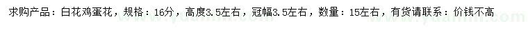 求購16公分白花雞蛋花