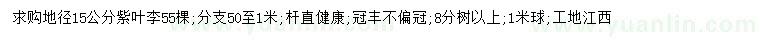 求購地徑15公分紫葉李