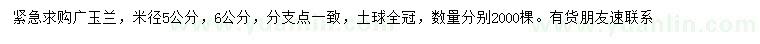 求購米徑5、6公分廣玉蘭