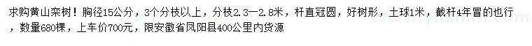 求購胸徑15公分黃山欒樹