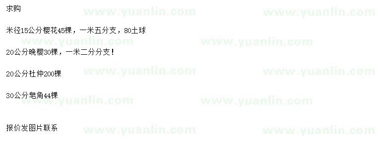 求購(gòu)櫻花、晚櫻、杜仲等