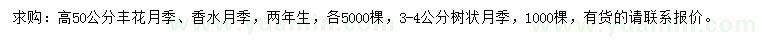 求購豐花月季、香水月季、樹狀月季