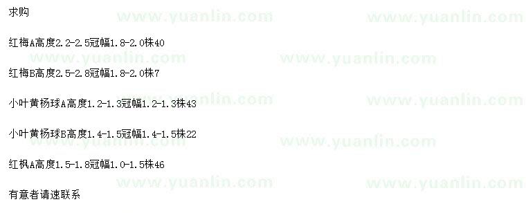 求購(gòu)紅梅、小葉黃楊球、紅楓