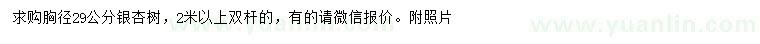 求購(gòu)胸徑29公分銀杏