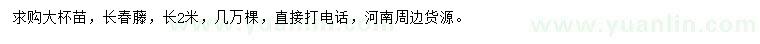 求購長2米長春藤