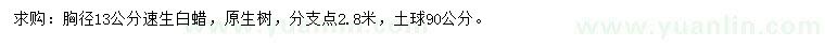 求購胸徑13公分速生白蠟