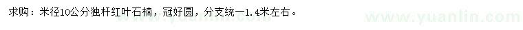 求購米徑10公分獨(dú)桿紅葉石楠