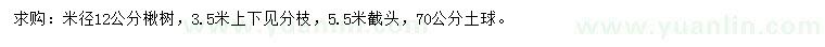 求購米徑12公分楸樹