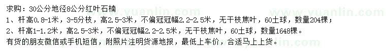 求購(gòu)30公分地徑8公分紅葉石楠