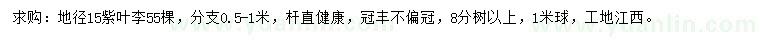 求購(gòu)地徑15紫葉李