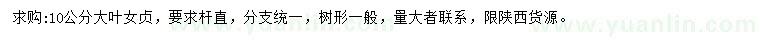 求購10公分大葉女貞