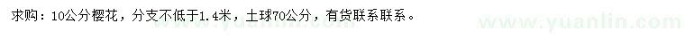 求購(gòu)10公分櫻花