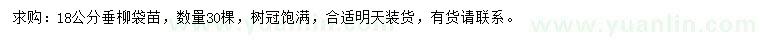 求購18公分垂柳