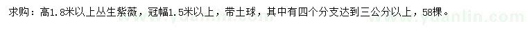 求購高1.8米以上叢生紫薇