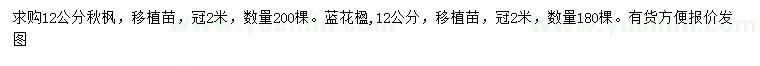求購12公分秋楓、藍(lán)花楹