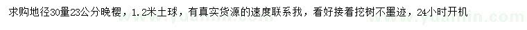 求購地徑30公分量23公分晚櫻