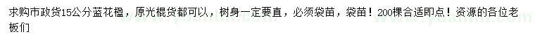 求購(gòu)15公分藍(lán)花楹