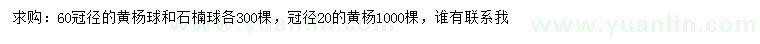 求購黃楊球、石楠球、黃楊