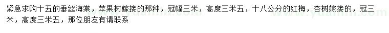 求購(gòu)15公分垂絲海棠、18公分紅梅