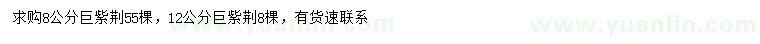 求購(gòu)8、12公分巨紫荊
