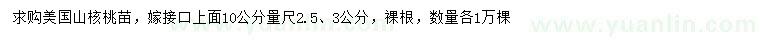 求購10公分量尺2.5、3公分美國山核桃